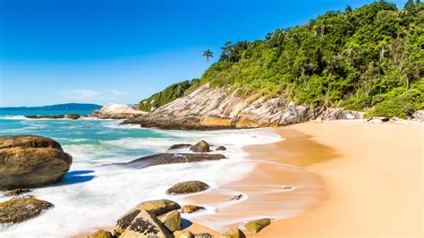Melhores Praias De Santa Catarina Top Para Conhecer Sc