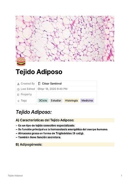 Histología Del Tejido Adiposo César Sandoval Udocz