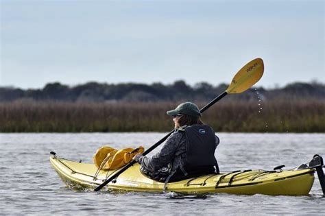 2 Hour Guided Kayak Eco Tour In Charleston