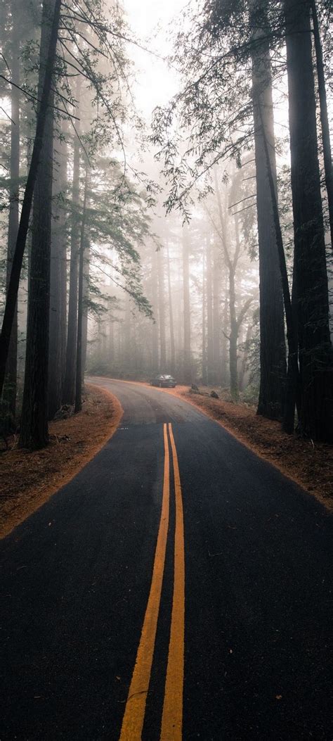 Road Fog Marking Wallpaper 720x1600