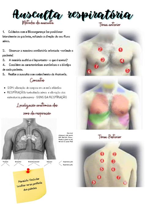 Locais De Ausculta Pulmonar