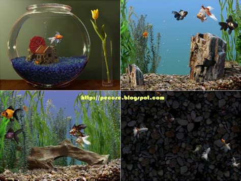 Csepec Goldfish Aquarium 20 Screensaver