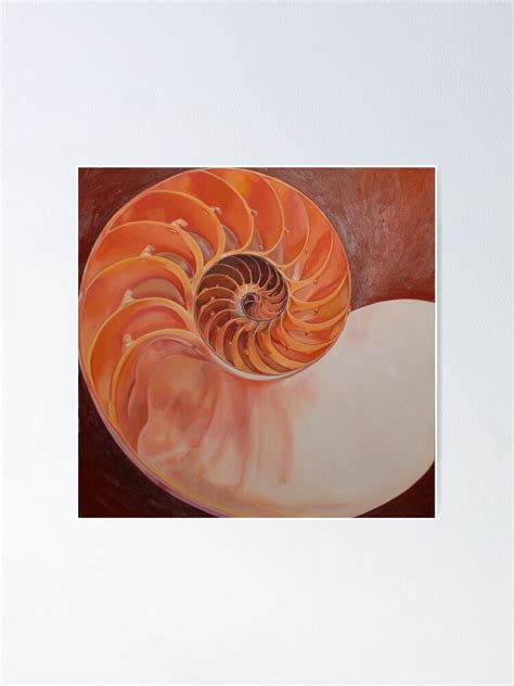 Nautilus Pompilius Poster By Bethdangelo Redbubble