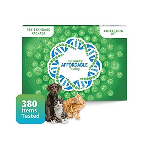 Dog Allergy Testing Do At Home Test Kits Like 5strands Really Work
