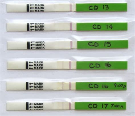 Simple Science: How to Make a Volcano with Kids