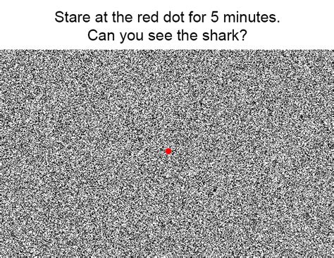 Top 10 Greatest Optical Illusions Ever