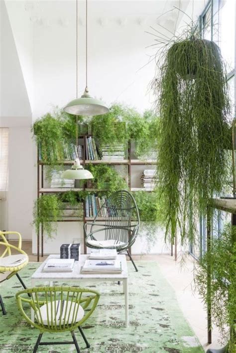 16 Inspiring Indoor Plant Display And Decoration Ideas Godiygocom