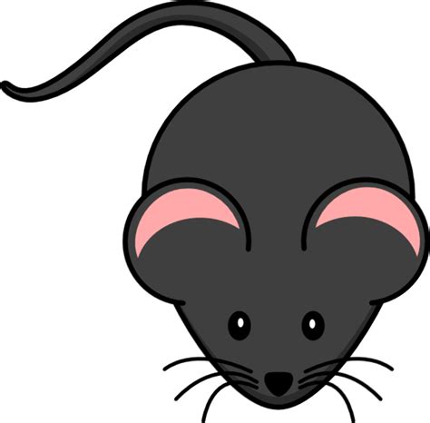 Download High Quality Mouse Clipart Transparent Background Transparent