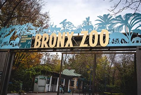 Things To Do In The Bronx Nyc Ultimate Insider Guide 2019