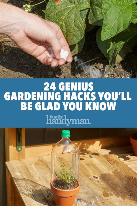 24 genius gardening hacks you ll be glad you know gardening tips backyard aquaponics