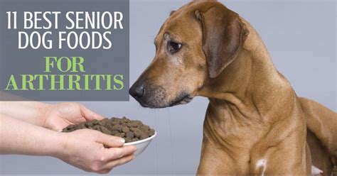 11 Best Senior Dog Foods For Arthritis Dog Endorsed