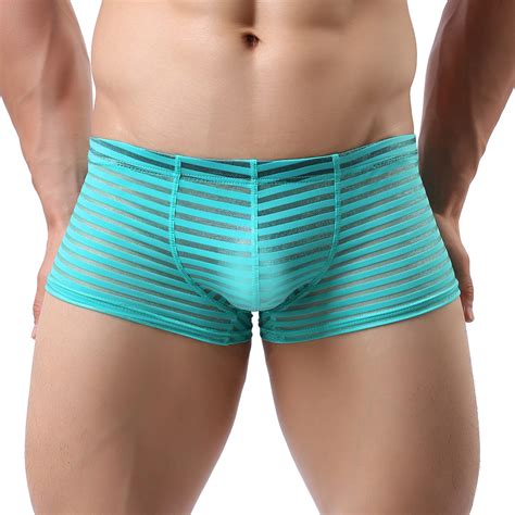 5pcs Men Sexy Striped Boxer Briefs Underwear Trunks Bulge Sheer Shorts M Xl 2xl Ebay
