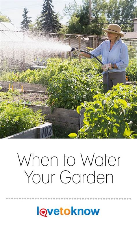 Knowing When You Should Water Your Garden Is Vital And Can Mean The Difference Between A