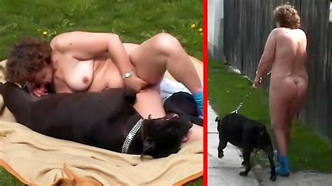 Dog Xxx Porn Dirty Grandma Gets His Pet To Fuck Her In