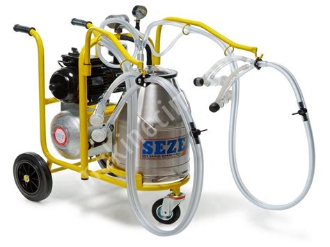 Simple Science: How to Make a Volcano with Kids