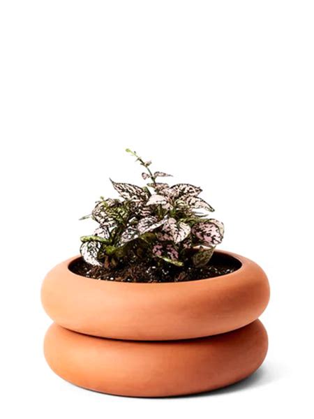 4 Stacking Planter Terracotta By Chen Chen And Kai Williams Brooklyn