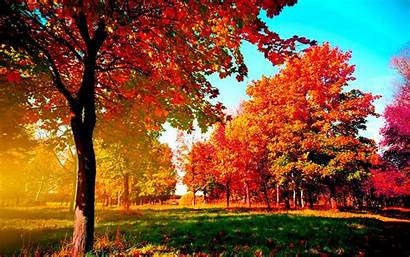 Fall Autumn Desktop Background Examples Wallpapers Trees
