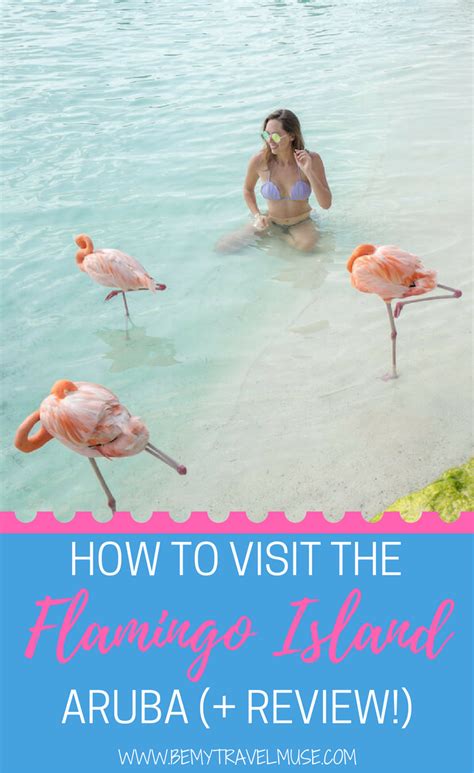 Flamingo Island Aruba How To Visit Is It Worth It Caribbean