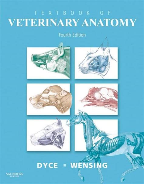 Dyce Sack And Wensings Textbook Of Veterinary Anatomy 5th Edition