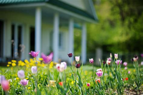 Spring Is Right Around The Corner And You Want To Buy Your First Home