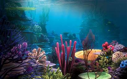 Underwater Under Sea Desktop Wallpapers Nemo Ocean