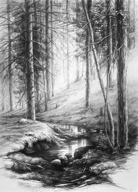Forest Interior By Hipiz On Deviantart Landscape Pencil Drawings