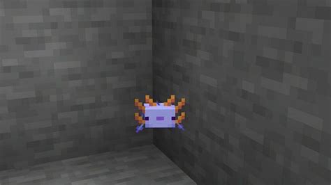 Minecraft Axolotl Colors And Their Rarity My Little Pony Wtbblue