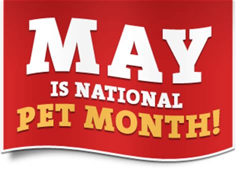 The insurance fund you make yourself is not going to be denied. May is National Pet Month! | Astoria Kibble