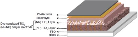 Recent Progress In One Dimensional TiO 2 Nanomaterials As Photoanodes