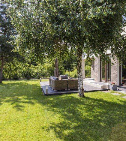 Internet access in billings, montana. Tree Care and Pest Control - Billings, MT - Frontier Tree ...