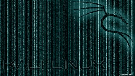 If you have copyright issues, please. Kali Linux está disponible en Microsoft Store - IntelDig