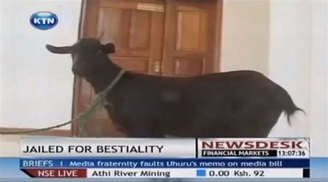 Katana Kitsao Gona Kenya Goat Sex Attacker Faces Victim In Court Metro News