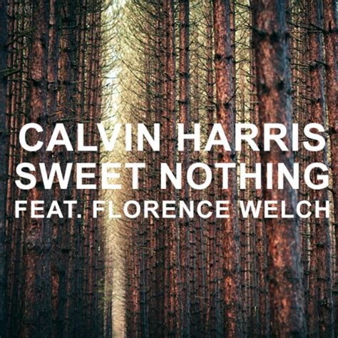 Song Of The Day Calvin Harris Sweet Nothing Featuring Florence Welch