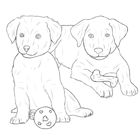 A chihuahua, bichon, or bull dog puppy will cease to be one after ten months. Black Lab Drawing at GetDrawings | Free download