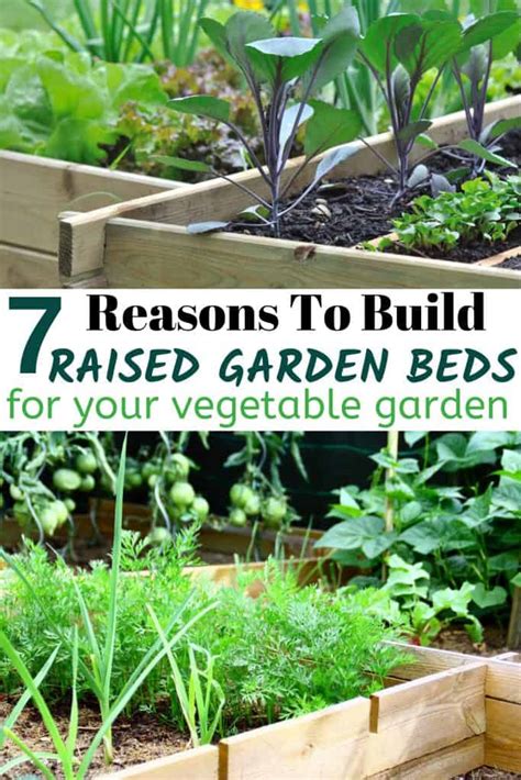 Building Raised Garden Beds Umbel Organics