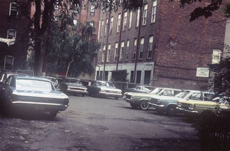 Flying flowers have a great selection of flowers. Hartford, CT, 1960s. | Hartford connecticut, Hartford ...