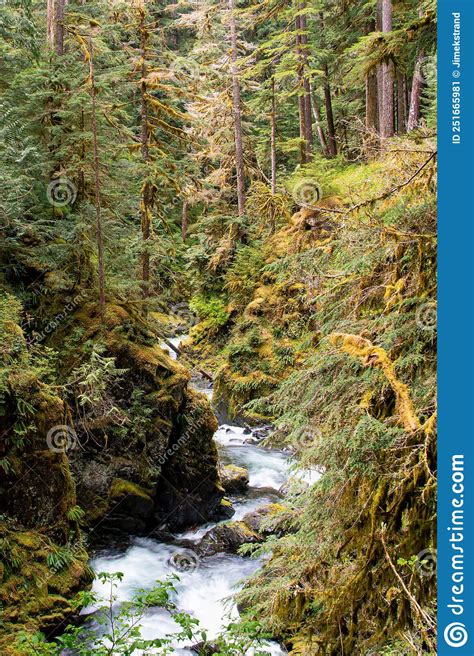 Vertical View Of Sol Duc River In A Canyon In Olympic National Park