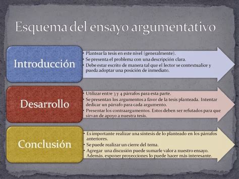 Ejemplo De Un Ensayo Argumentativo