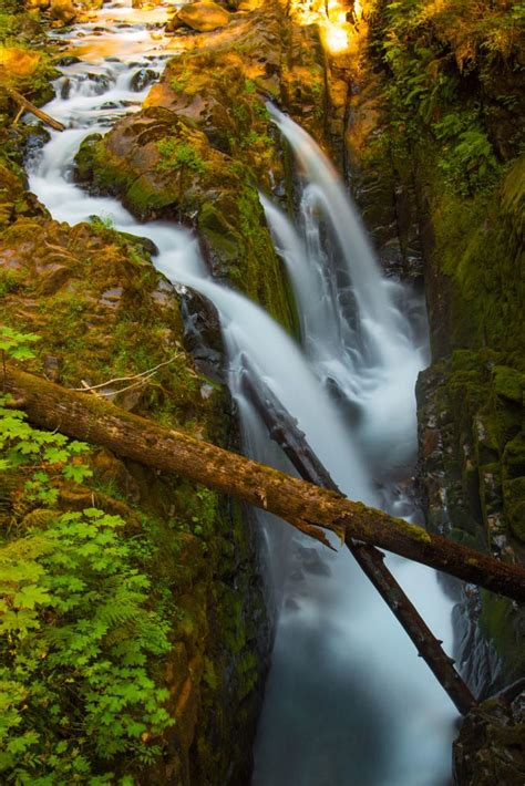 Waterfall In Olympic National Park By John S On 500px Scenic