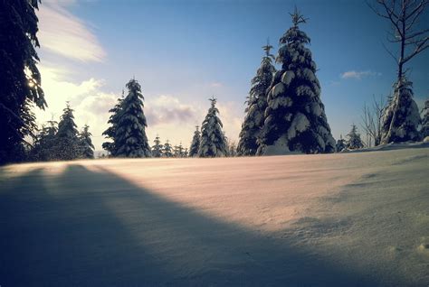 Winter Finally Arrived Black Forest Germany Oc 3264×2195 R
