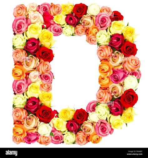 R Roses Flower Alphabet Isolated On White Stock Photo Alamy