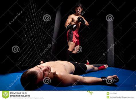 mma stock image image of arts boxer mixed fight martial 16313003