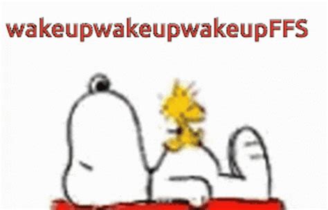 Snoopy Get Up Snoopy Get Up Wake Up Ffs Descubre Comparte Gifs