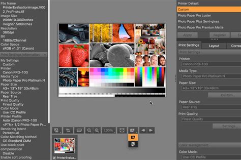 8 Best Canon Photo Printing Software In 2024