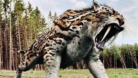 Top 10 Scariest Extinct Animals That Ever Lived My Dinosaurs