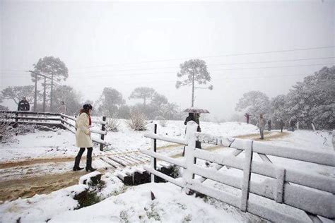 Com redações em londres e são paulo e mais de 200 repórteres internacionais, nossa cobertura leva a você as principais. Neve: Nevou no sul do Brasil e frio chegou a -8 graus: veja vídeos | VEJA SÃO PAULO