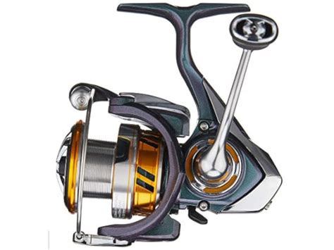 The 10 Best Daiwa Fishing Reels Of 2024 FindThisBest