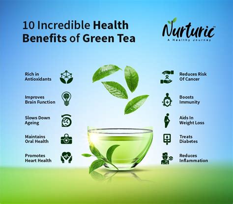 10 Reasons Why You Must Have Green Tea