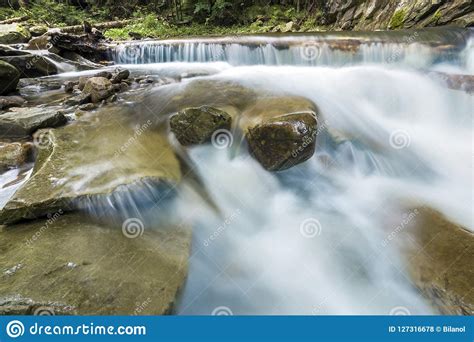 Small Mountain Fast Flowing Through Wild Green Forest River With
