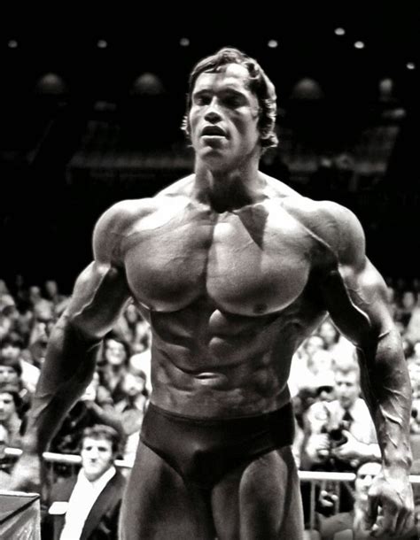 55 Arnold Schwarzenegger Bodybuilding Pop Art Deco Poster Wall